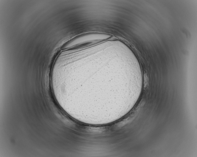 X0000113160349200910021506