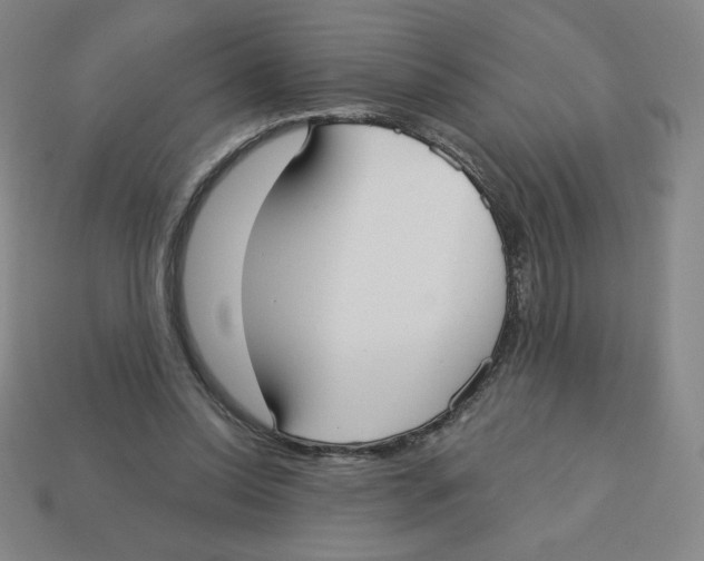 X0000113160350200910021506