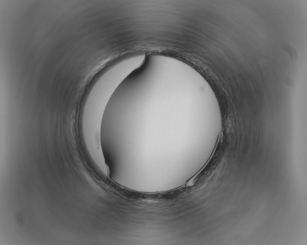 X0000113160352200910021506