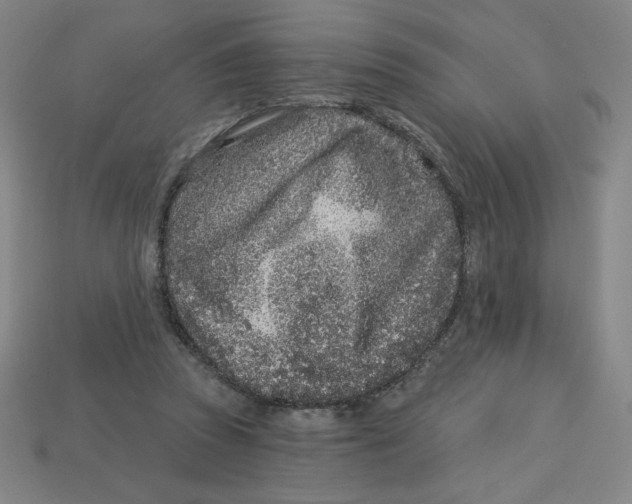 X0000113160353200910021506