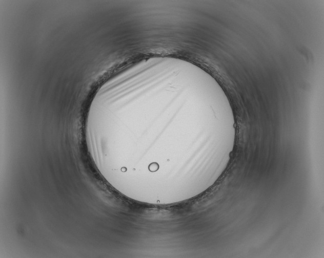 X0000113160354200910021506