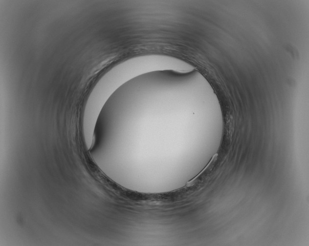 X0000113160356200910021506