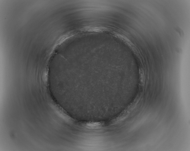 X0000113160357200910021506