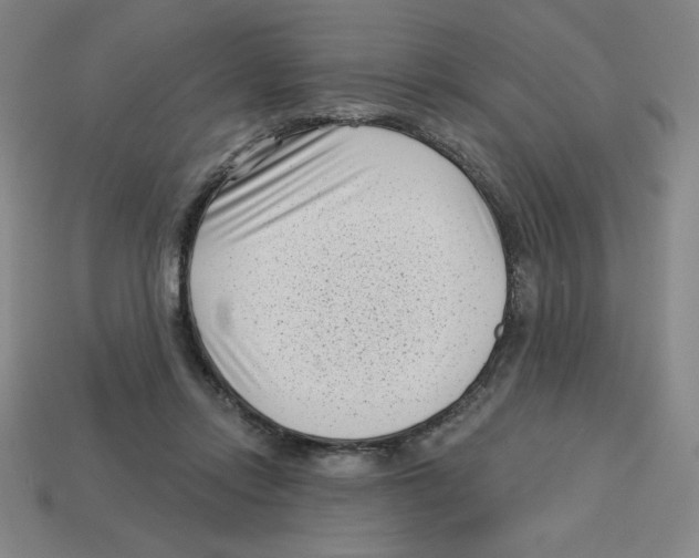 X0000113160358200910021506