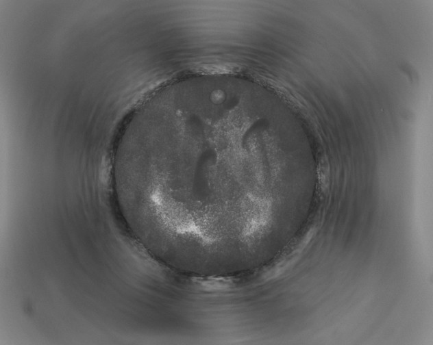 X0000113160359200910021506