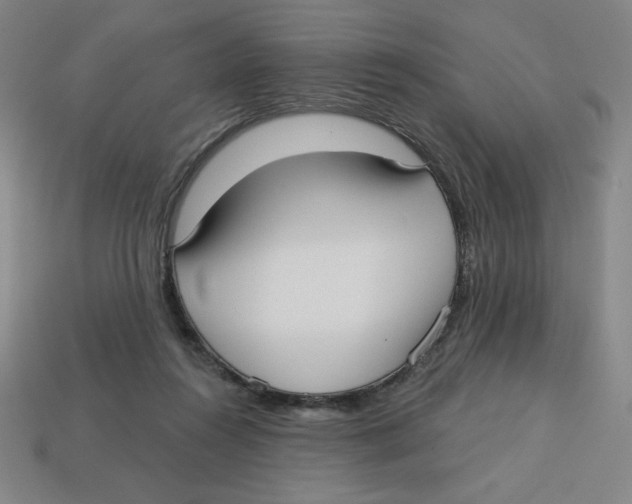 X0000113160360200910021506