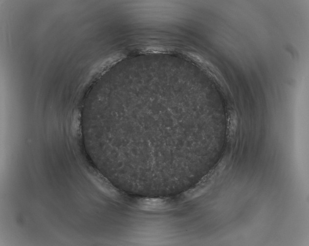 X0000113160361200910021506