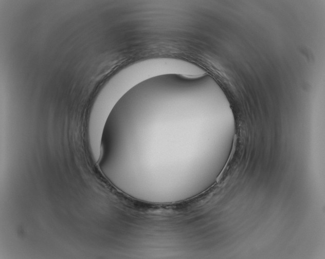 X0000113160362200910021506