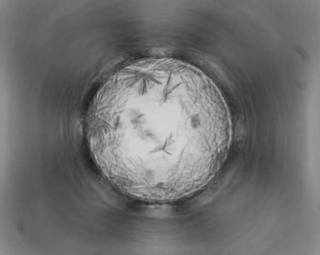 X0000113160363200910021506