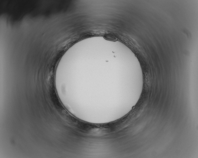 X0000113160364200910021506