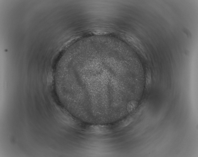 X0000113160367200910021506