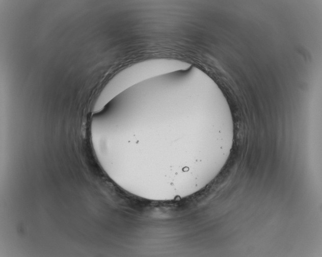 X0000113160368200910021506