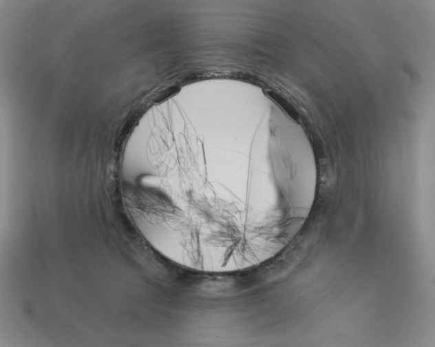 X0000113160369200910021506