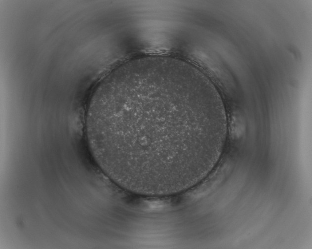 X0000113160370200910021506