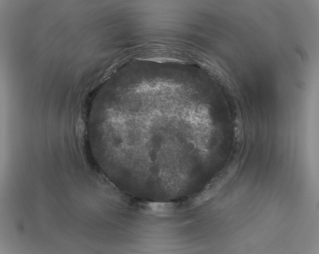 X0000113160371200910021506