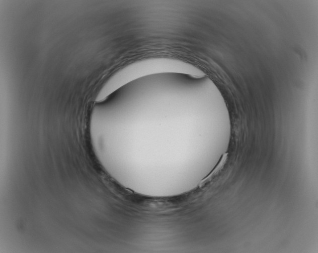 X0000113160372200910021506