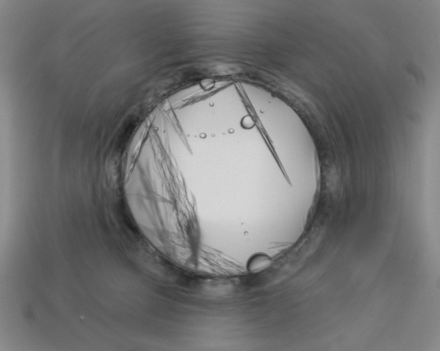 X0000113160373200910021506