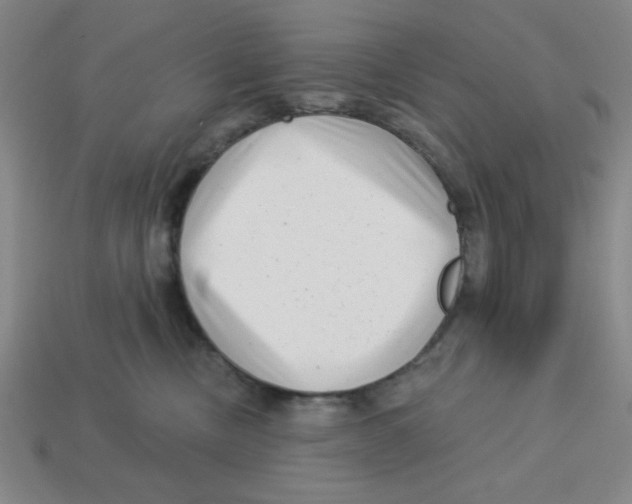 X0000113160378200910021506