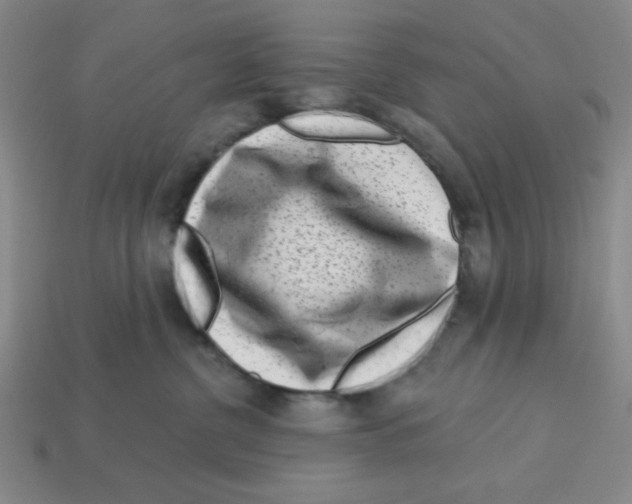 X0000113160380200910021506