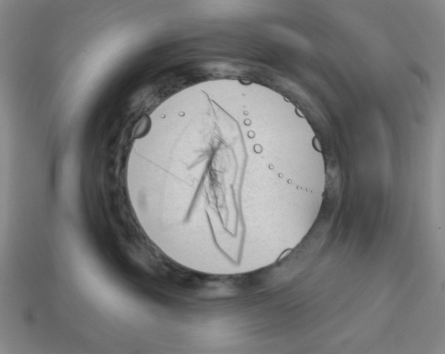 X0000113160381200910021506