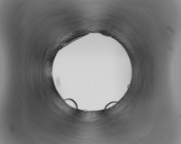 X0000113160384200910021506