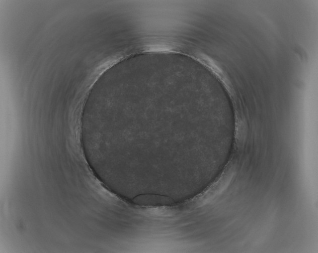 X0000113160385200910021505