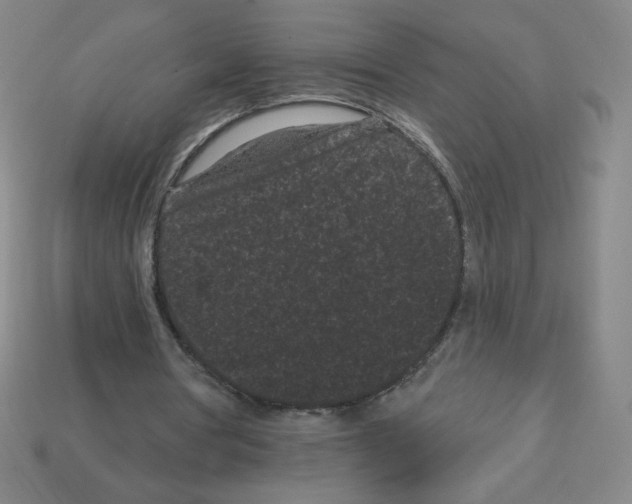 X0000113160386200910021505