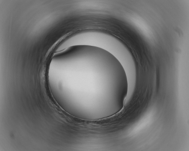 X0000113160387200910021505