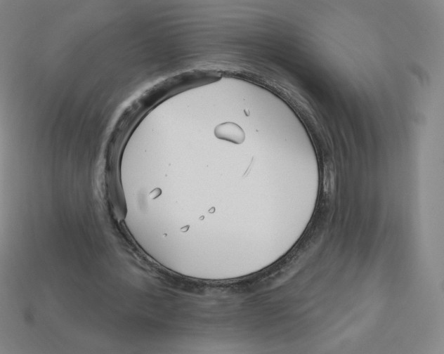 X0000113160388200910021505