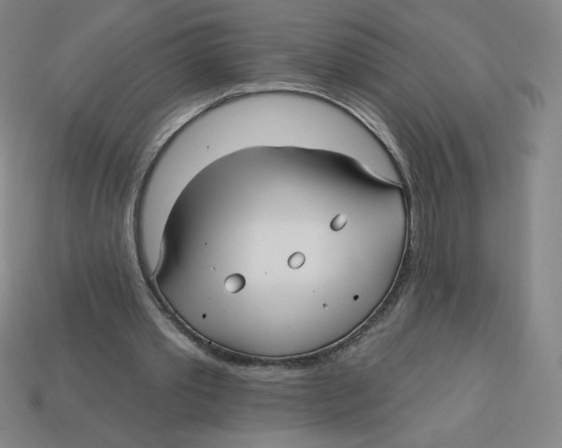 X0000113160389200910021505