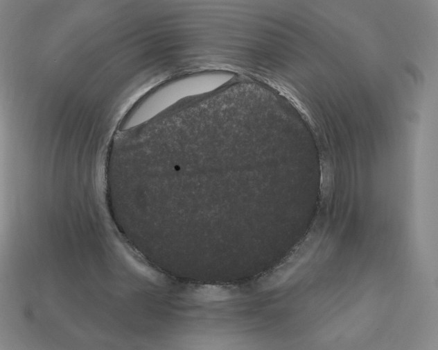 X0000113160390200910021505