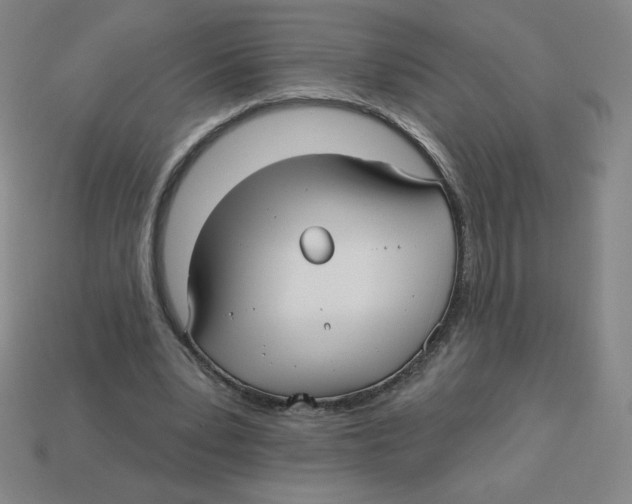 X0000113160391200910021505