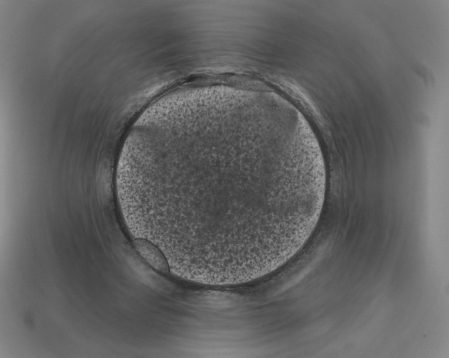 X0000113160393200910021505