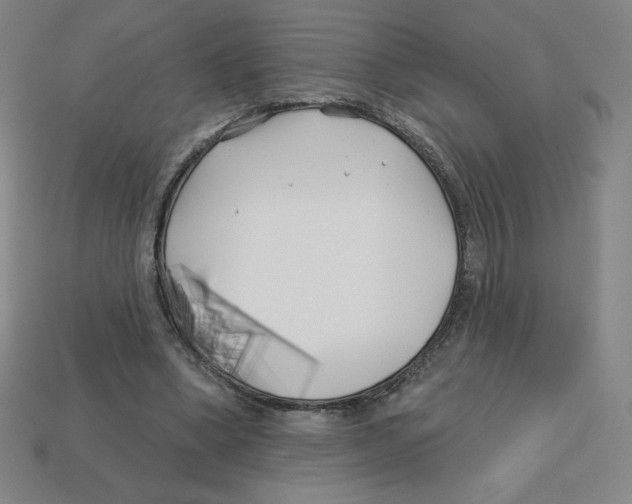 X0000113160394200910021505