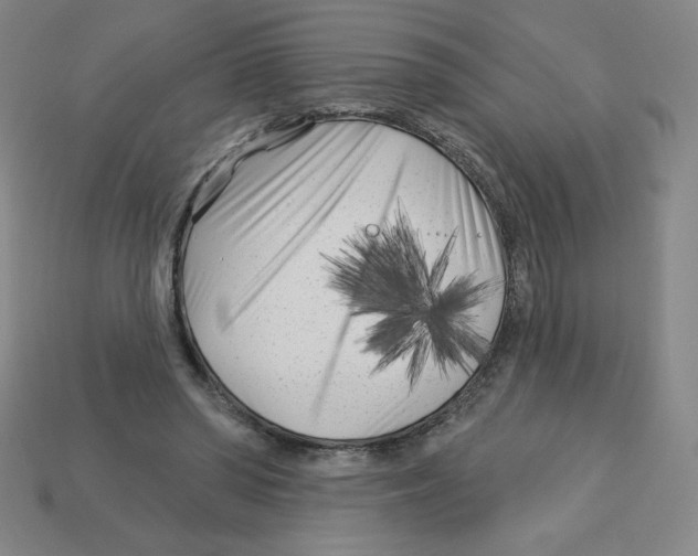 X0000113160398200910021505