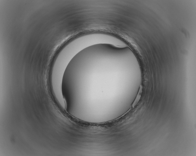 X0000113160399200910021505