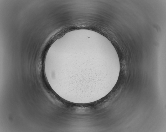 X0000113160400200910021505