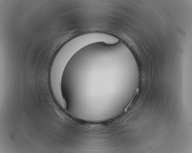 X0000113160401200910021505