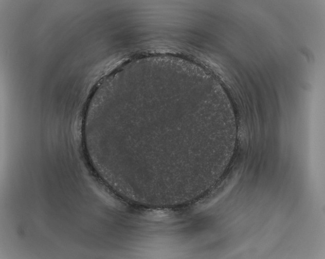 X0000113160402200910021505