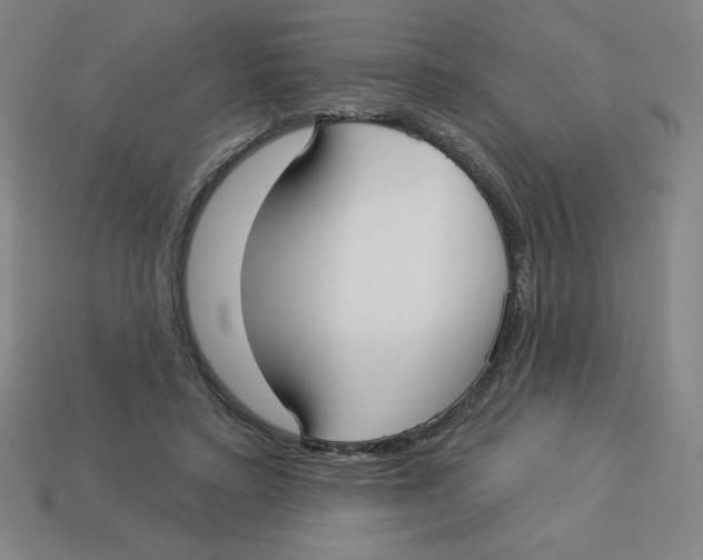 X0000113160403200910021505