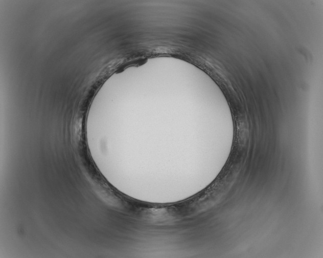 X0000113160406200910021505