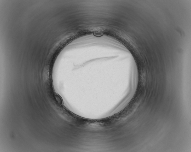 X0000113160407200910021505