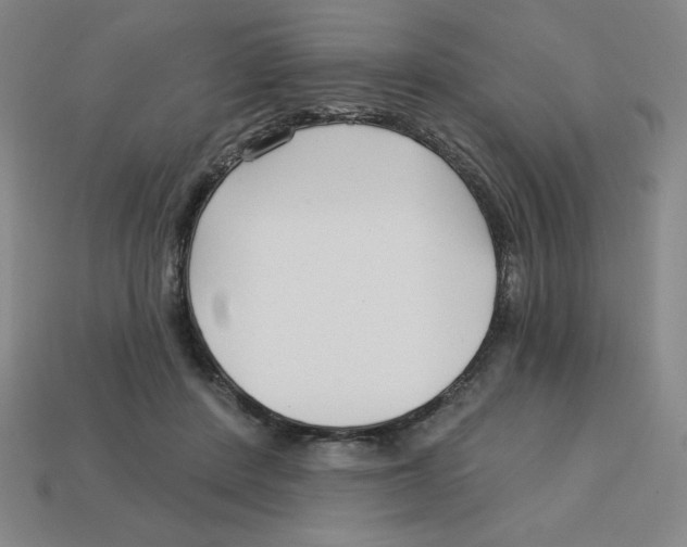 X0000113160408200910021505