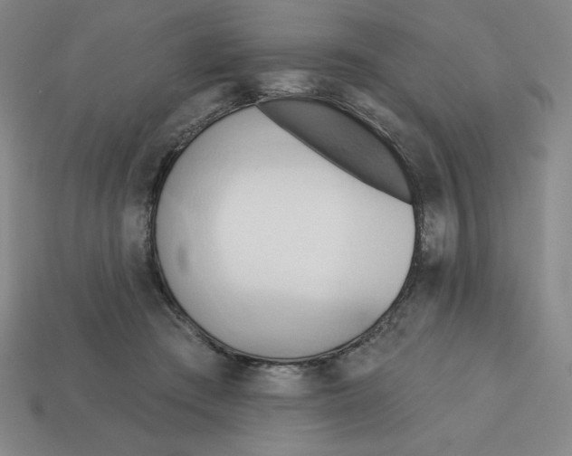 X0000113160409200910021505