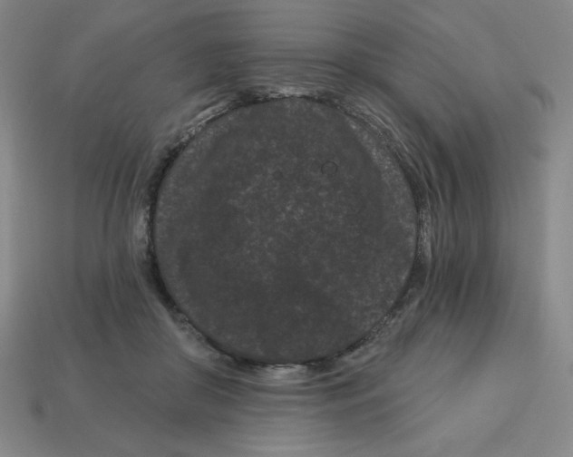 X0000113160410200910021505