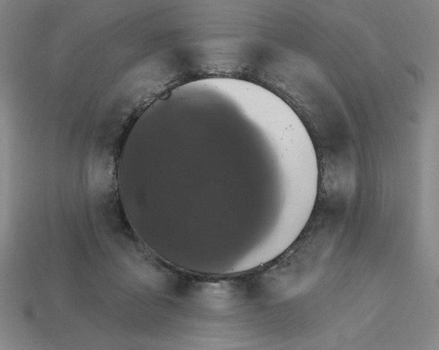 X0000113160411200910021505