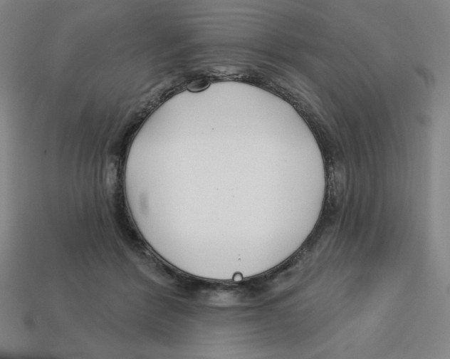 X0000113160412200910021505