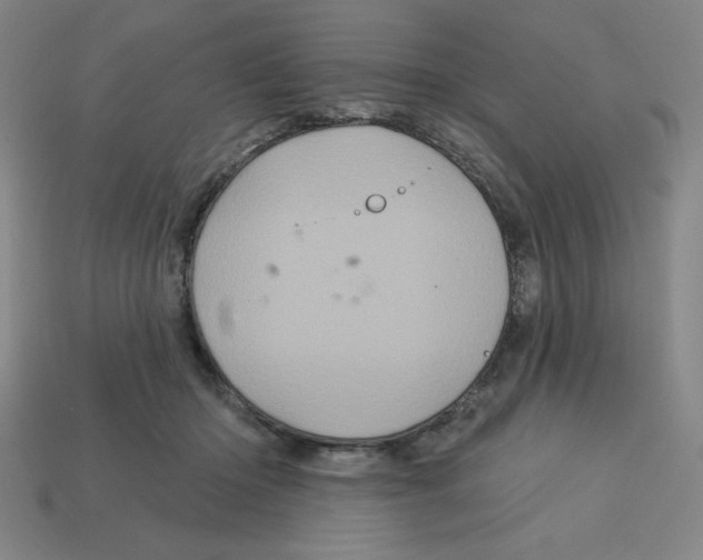 X0000113160414200910021505