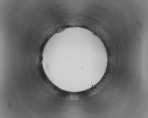 X0000113160416200910021505