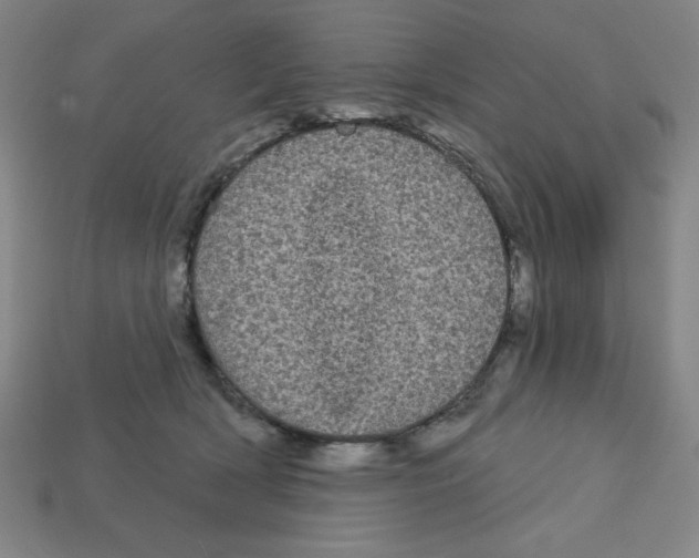 X0000113160418200910021505